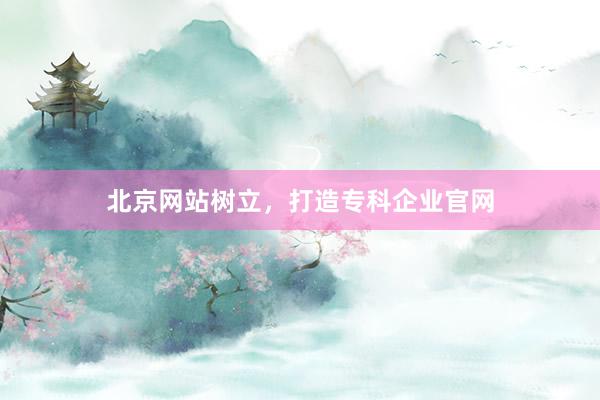 北京网站树立，打造专科企业官网